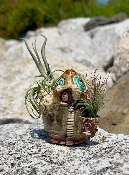 Fairy Home - #1