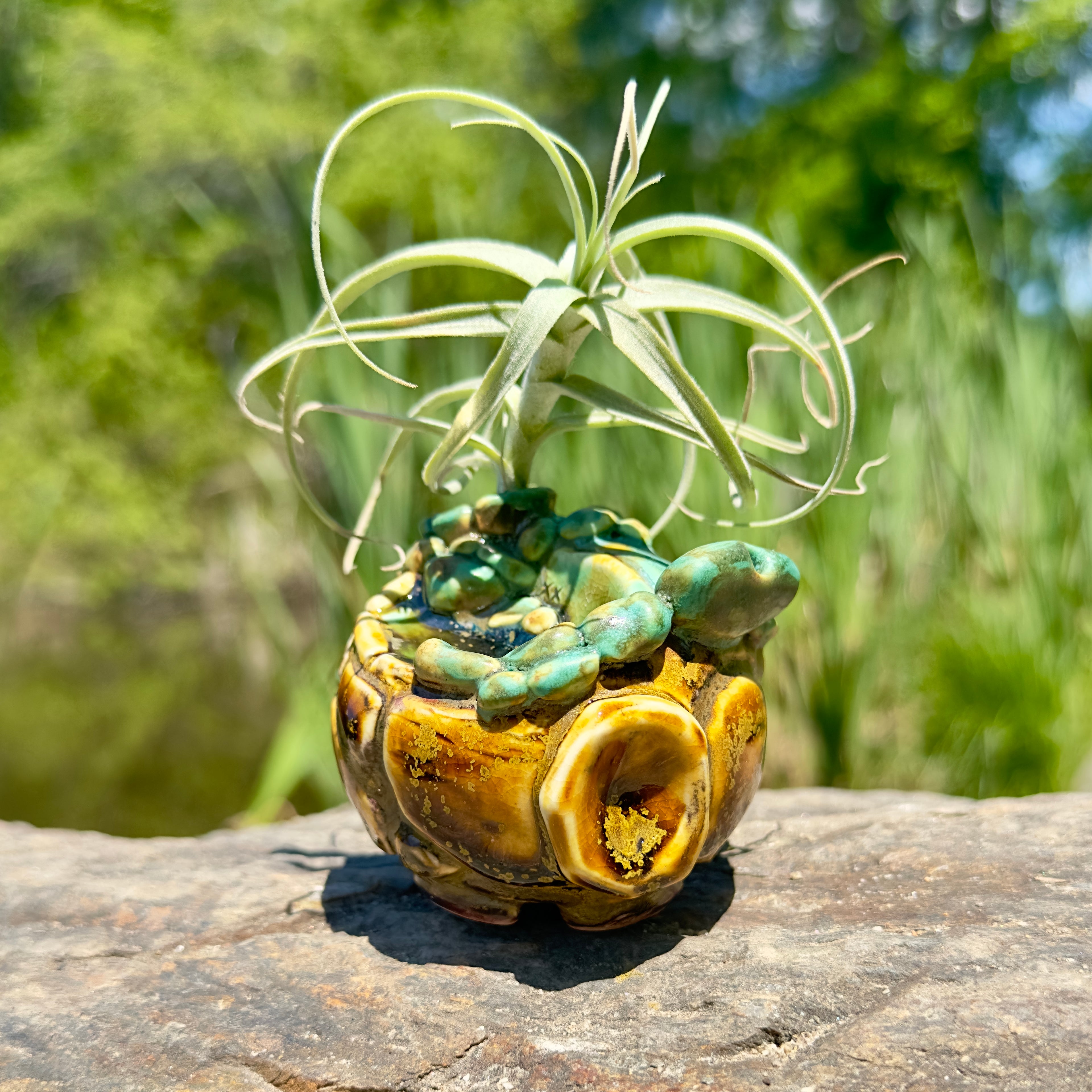 Fairy Home - #3 - 2023 - Jordan King Clay