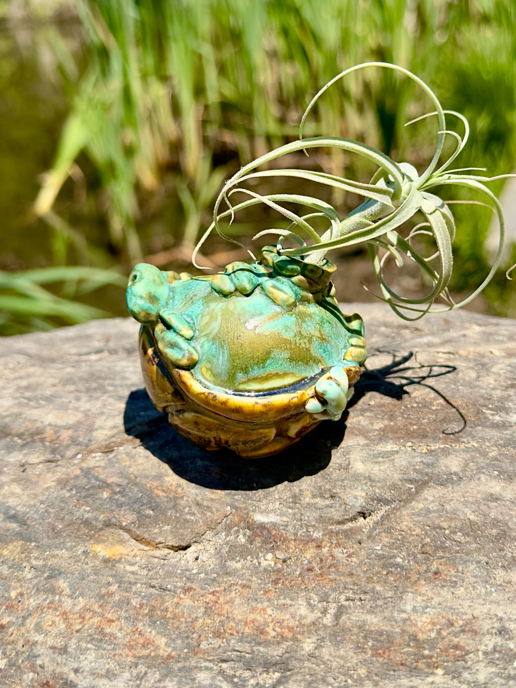 Fairy Home - #3 - 2023 - Jordan King Clay