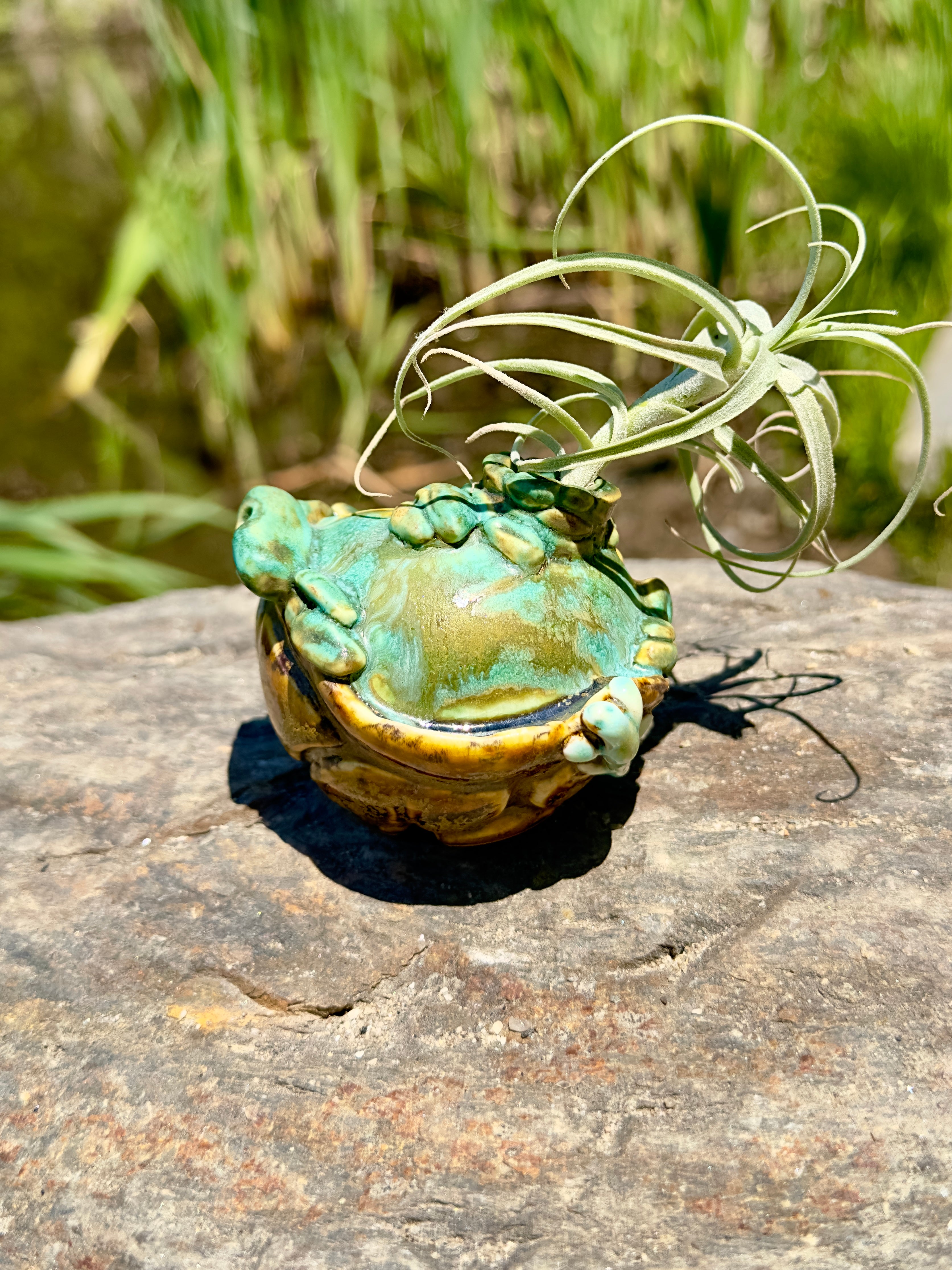 Fairy Home - #3 - 2023 - Jordan King Clay