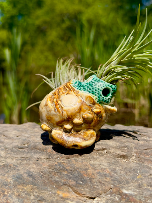 Fairy Home - #2 - 2023 - Jordan King Clay